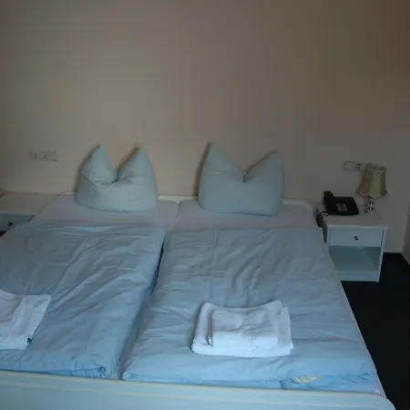 Szálloda Zum Neuen Schwan Walluf