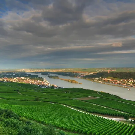 Zum Neuen Schwan 3* Walluf