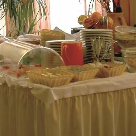 Zum Neuen Schwan فندق