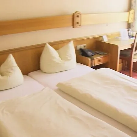 Zum Neuen Schwan فندق 3*