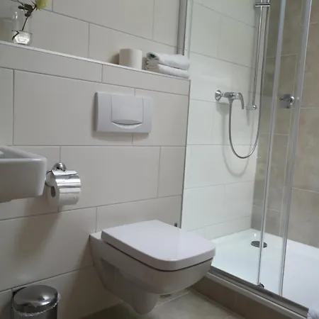 Zum Neuen Schwan فندق