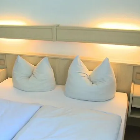 Zum Neuen Schwan 3* Walluf