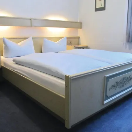 Zum Neuen Schwan فندق